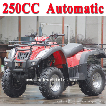 Nouveau ATV 250cc ATV automatique Street Legal (MC-356)